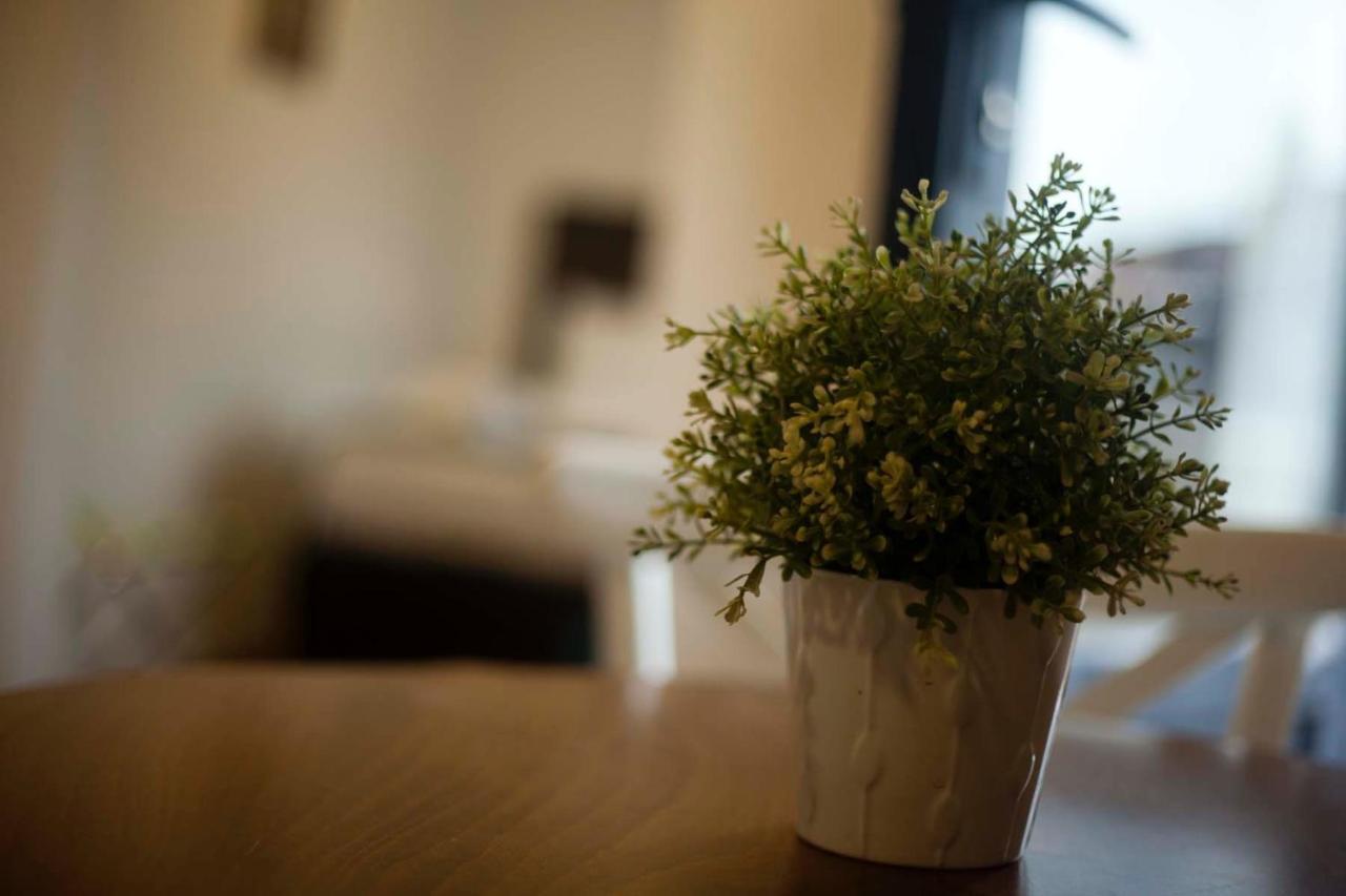 Galata Cicek Suites Istanbul Eksteriør bilde